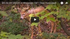 archery whitetail hunt