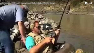 Babe-inner-tube-Thumbnail