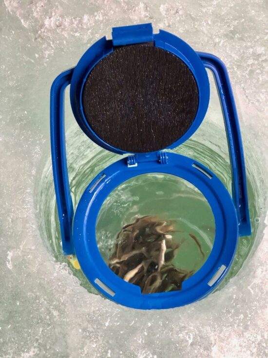 Bait Caddy Bucket with floating net - Free Shipping - Image 11