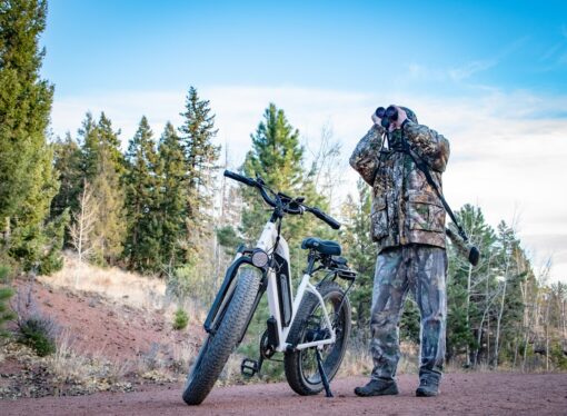 Himiway Electric Mountain Bike Cruiser Step Thru - White