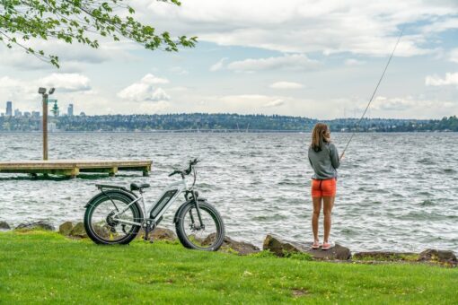 Himiway Electric Mountain Bike Cruiser Step Thru - White - Image 3