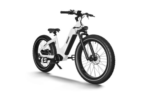 Himiway Electric Mountain Bike Zebra - White - Image 4
