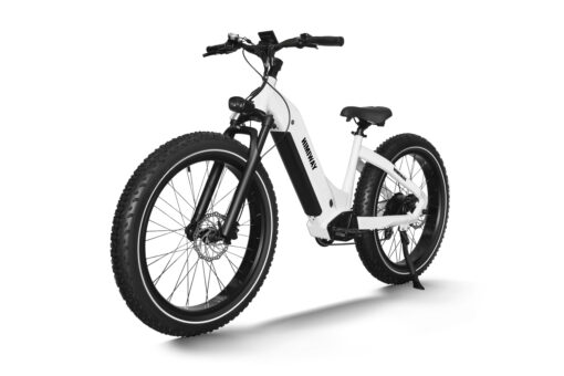 Himiway Electric Mountain Bike Zebra - White - Image 5