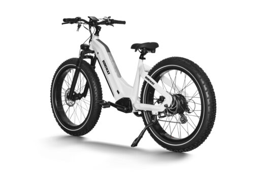 Himiway Electric Mountain Bike Zebra - White - Image 6