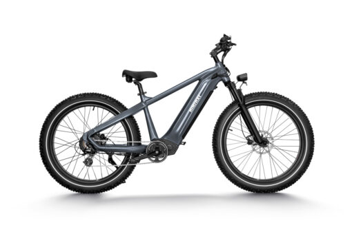 Himiway Electric Mountain Bike Zebra - Gray - Image 7