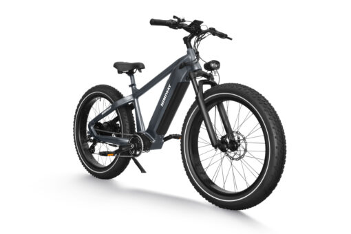 Himiway Electric Mountain Bike Zebra - Gray - Image 5