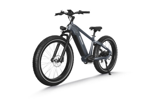 Himiway Electric Mountain Bike Zebra - Gray - Image 3