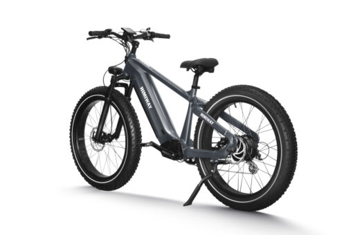 Himiway Electric Mountain Bike Zebra - Gray - Image 2